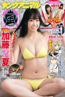 法证先锋6第一集